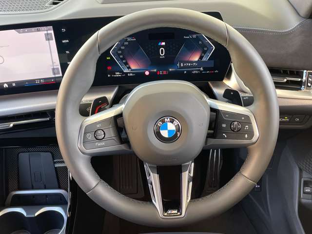ＢＭＷ Ｘ２ Ｘドライブ２０Ｉ Ｍスポーツ ４ＷＤ R6年 (東海) 99