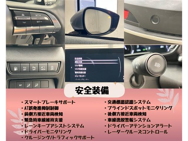 マツダ ＭＸ−３０　ロータリーＥＶ ナチュラル　モノトーン R5年 (東海) 99