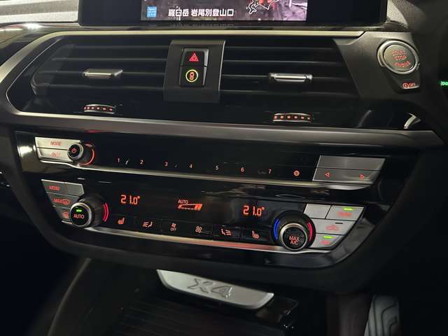 ＢＭＷ Ｘ４ Ｘドライブ２０Ｄ Ｍスポーツ ディーゼルターボ ４ＷＤ R3年 (関東) 99