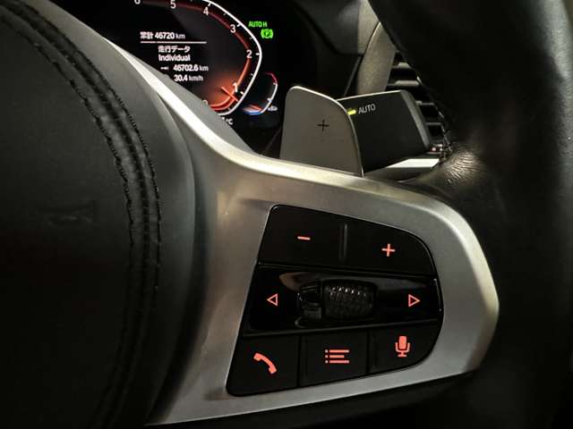ＢＭＷ Ｘ４ Ｘドライブ２０Ｄ Ｍスポーツ ディーゼルターボ ４ＷＤ R3年 (関東) 99
