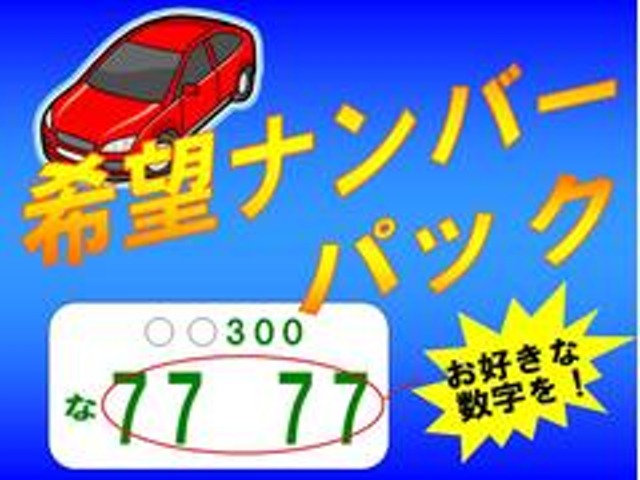 日産 エルグランド ２．５ ２５０ハイウェイスターＳ H30年 (関東) 99