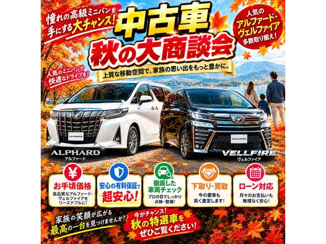 トヨタ ヴェルファイア ２．５ Ｚ Ｇエディション H30年 (関東) 99