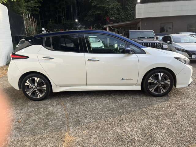 日産 リーフ Ｇ R1年 (関東) 99