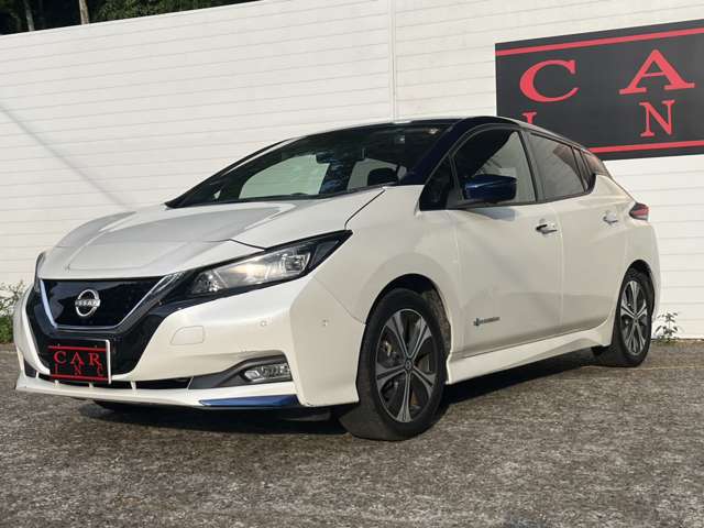 日産 リーフ Ｇ R1年 (関東) 99