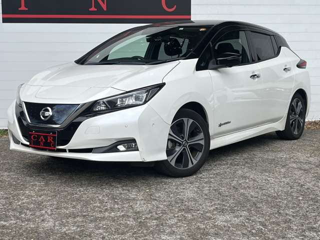 日産 リーフ Ｇ R1年 (関東) 99