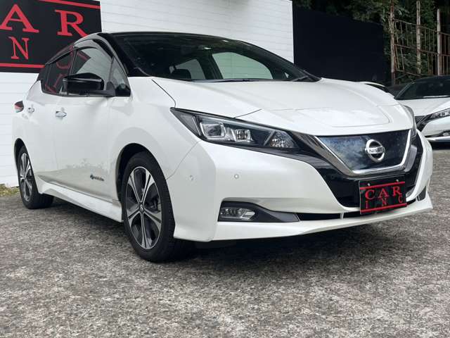 日産 リーフ Ｇ R1年 (関東) 99