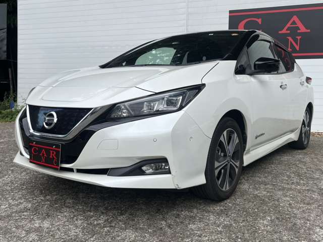 日産 リーフ Ｇ R1年 (関東) 99