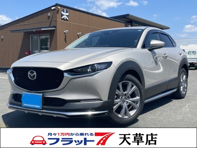 マツダ ＣＸ−３０ ２．０ ２０Ｓ プロアクティブ ツーリングセレクション R5年 (九州・沖縄) 99