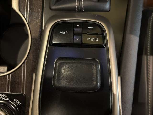 レクサス ＲＸ３００ ３００ Ｆスポーツ ４ＷＤ H30年 (近畿) 99