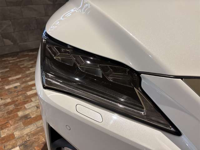 レクサス ＲＸ３００ ３００ Ｆスポーツ ４ＷＤ H30年 (近畿) 99