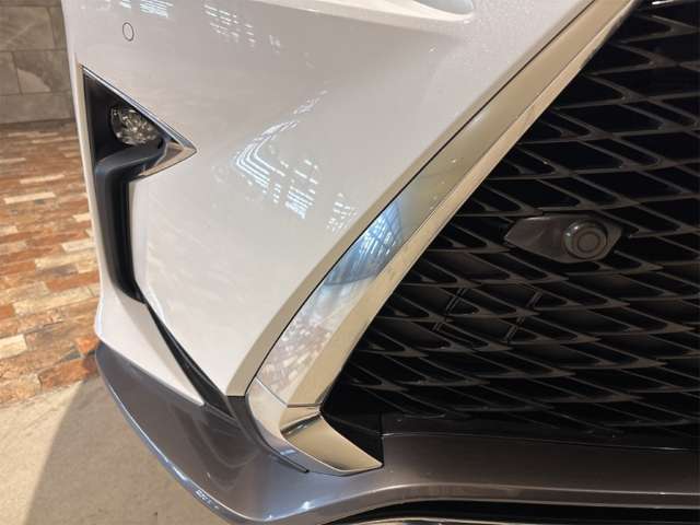 レクサス ＲＸ３００ ３００ Ｆスポーツ ４ＷＤ H30年 (近畿) 99