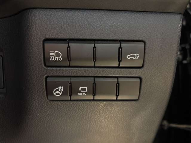 レクサス ＮＸ３００ Ｆスポーツ H29年 (近畿) 99