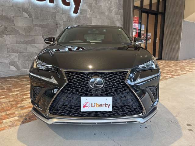 レクサス ＮＸ３００ Ｆスポーツ H29年 (近畿) 99