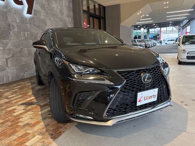レクサス ＮＸ３００ Ｆスポーツ H29年 (近畿) 99