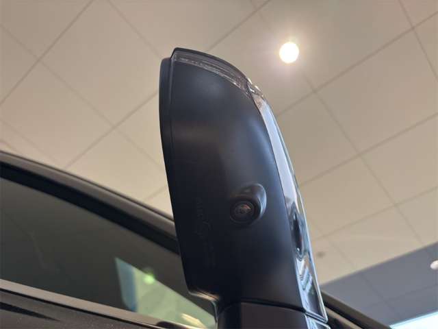 レクサス ＮＸ３００ Ｆスポーツ H29年 (近畿) 99