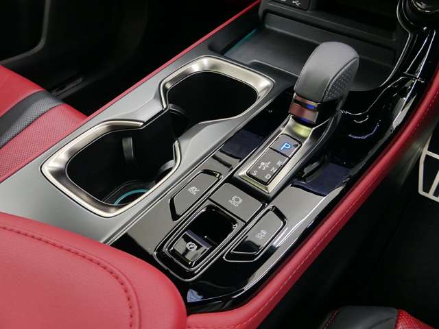 レクサス ＮＸ３５０ｈ Ｆスポーツ R5年 (東海) 99