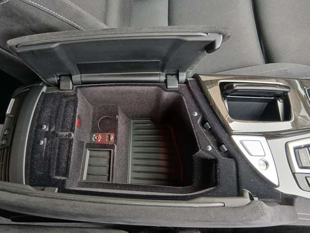 ＢＭＷ ５シリーズ ５２３ｉ　Ｍスポーツ H29年 (近畿) 99