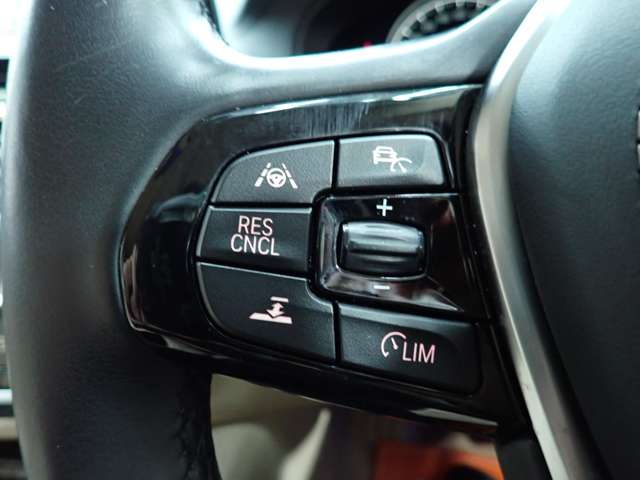 ＢＭＷ ５シリーズ ５２３Ｉ ラグジュアリー H29年 (九州・沖縄) 99