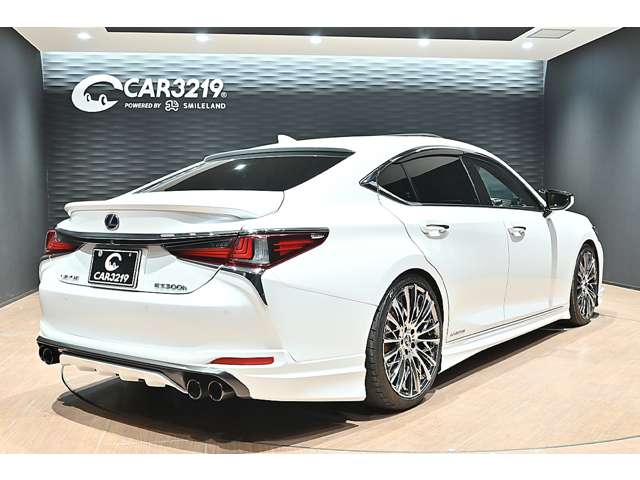 レクサス ＥＳ３００ｈ バージョンＬ R1年 (関東) 99