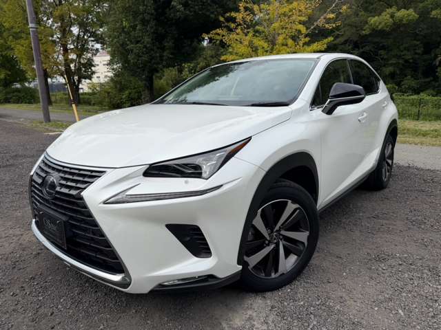 レクサス ＮＸ３００ｈ Ｉパッケージ R2年 (近畿) 99