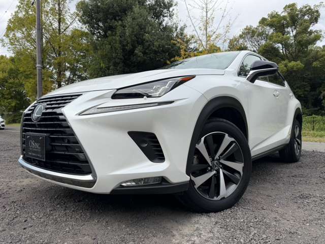 レクサス ＮＸ３００ｈ Ｉパッケージ R2年 (近畿) 99