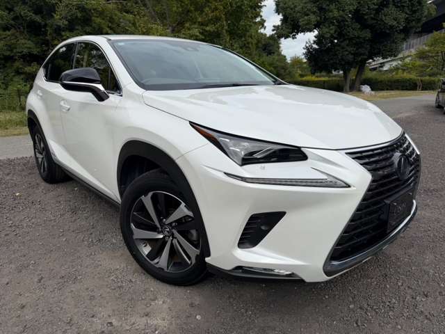 レクサス ＮＸ３００ｈ Ｉパッケージ R2年 (近畿) 99