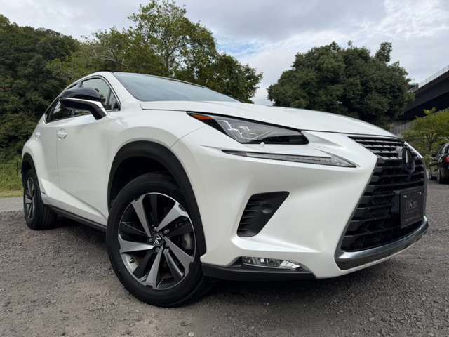 レクサス ＮＸ３００ｈ Ｉパッケージ R2年 (近畿) 99