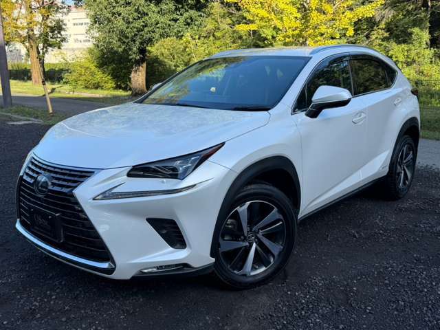 レクサス ＮＸ３００ｈ ３００Ｈ バージョンＬ ４ＷＤ R2年 (近畿) 99