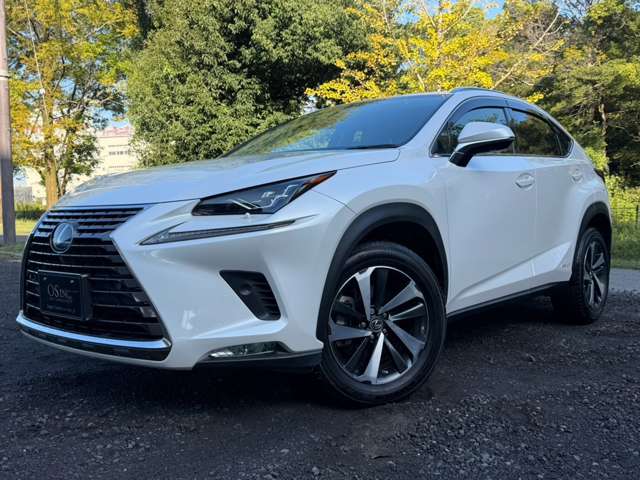 レクサス ＮＸ３００ｈ ３００Ｈ バージョンＬ ４ＷＤ R2年 (近畿) 99