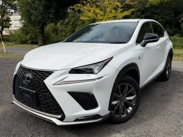 レクサス ＮＸ３００ｈ ３００Ｈ Ｆスポーツ ４ＷＤ R1年 (近畿) 99
