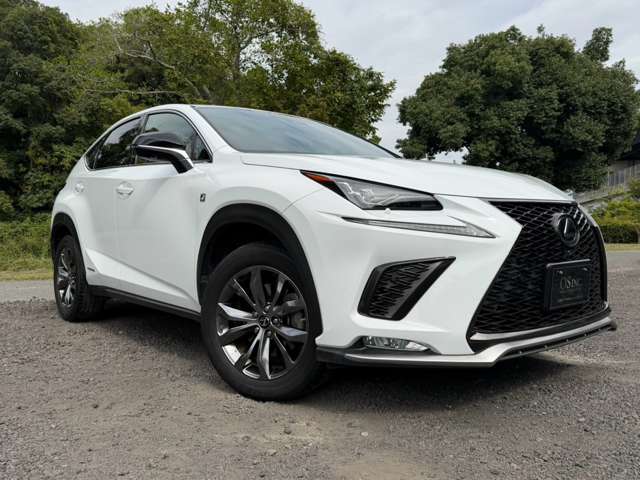 レクサス ＮＸ３００ｈ ３００Ｈ Ｆスポーツ ４ＷＤ R1年 (近畿) 99