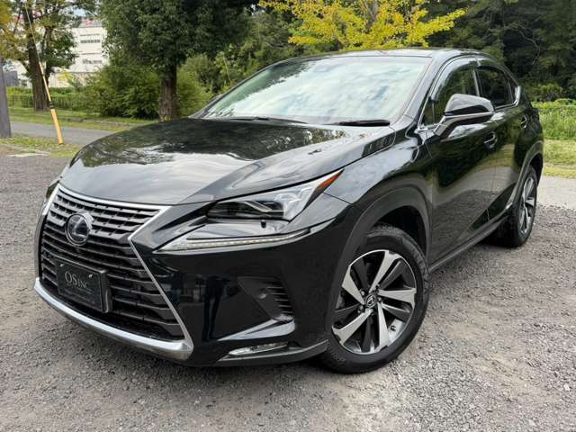 レクサス ＮＸ３００ｈ バージョンＬ H30年 (近畿) 99