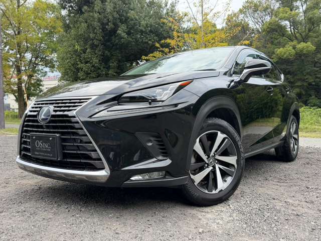 レクサス ＮＸ３００ｈ バージョンＬ H30年 (近畿) 99