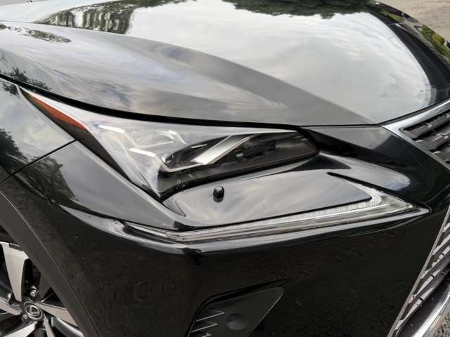 レクサス ＮＸ３００ｈ バージョンＬ H30年 (近畿) 99