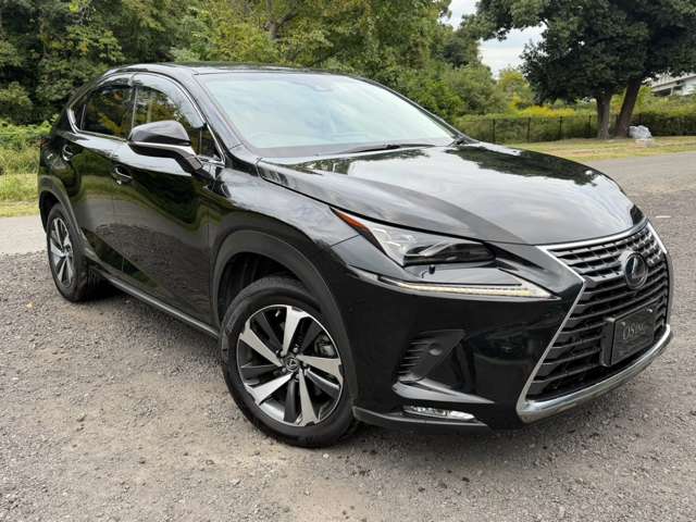 レクサス ＮＸ３００ｈ バージョンＬ H30年 (近畿) 99