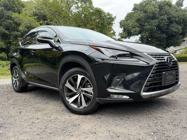 レクサス ＮＸ３００ｈ バージョンＬ H30年 (近畿) 99