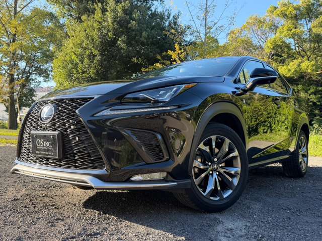 レクサス ＮＸ３００ｈ Ｆスポーツ H30年 (近畿) 99