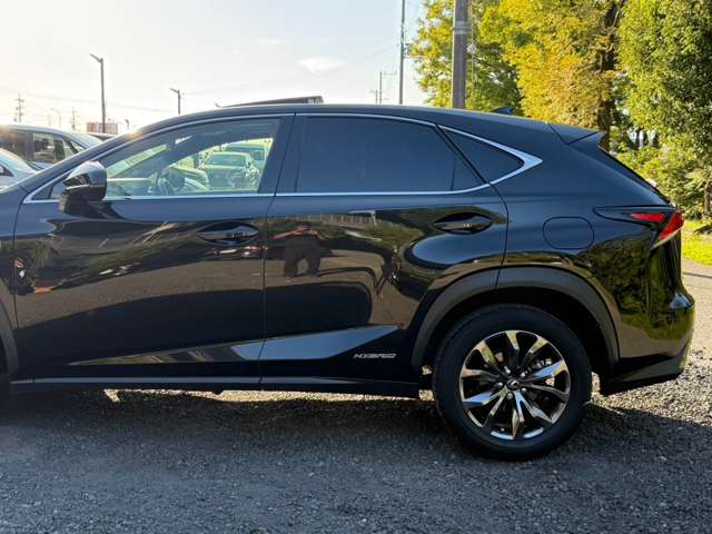 レクサス ＮＸ３００ｈ Ｆスポーツ H30年 (近畿) 99
