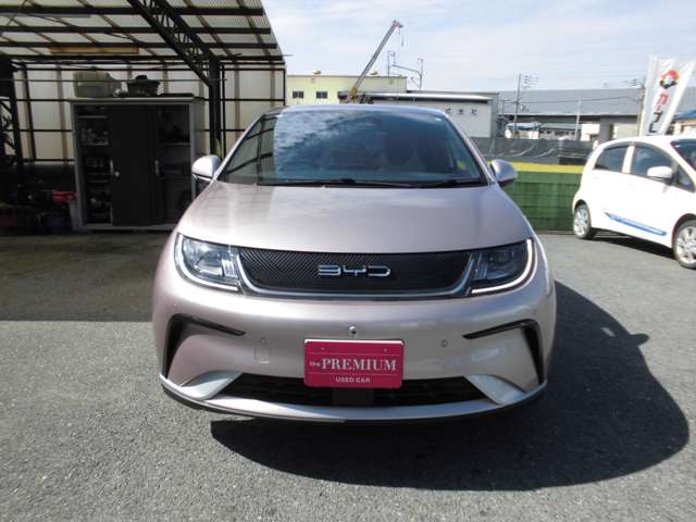 ＢＹＤ ＢＹＤドルフィン ベースモデル R6年 () 99
