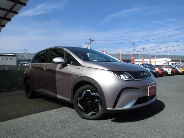 ＢＹＤ ＢＹＤドルフィン ベースモデル R6年 () 99