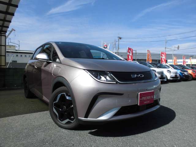 ＢＹＤ ＢＹＤドルフィン ベースモデル R6年 () 99