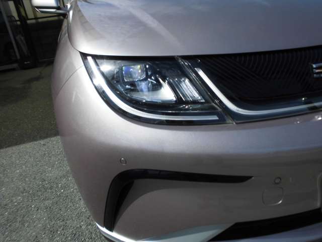 ＢＹＤ ＢＹＤドルフィン ベースモデル R6年 () 99