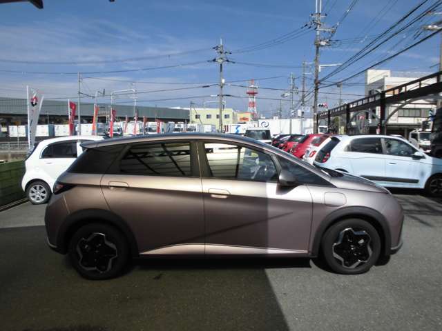 ＢＹＤ ＢＹＤドルフィン ベースモデル R6年 () 99