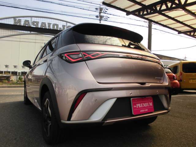 ＢＹＤ ＢＹＤドルフィン ベースモデル R6年 () 99