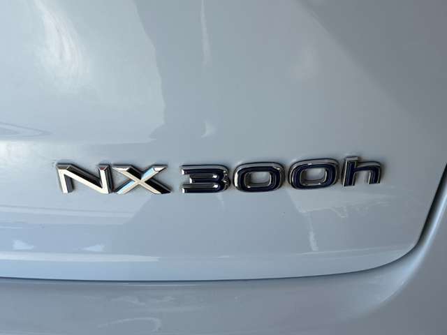 レクサス ＮＸ３００ Ｆスポーツ R1年 () 99