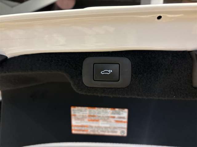 レクサス ＬＳ５００ Ｆスポーツ H30年 () 99