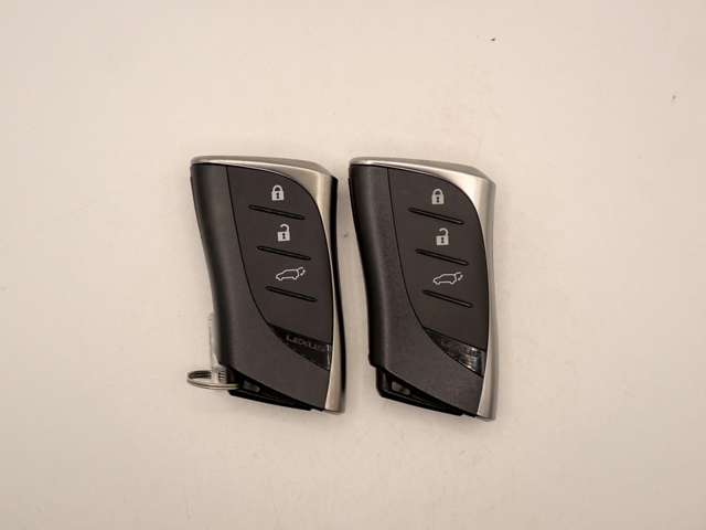 レクサス ＵＸ２００ ２００ R5年 () 99