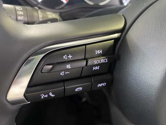 マツダ ＭＡＺＤＡ３　ファストバック ２．０ ２０Ｓ ツーリング R7年 (関東) 99