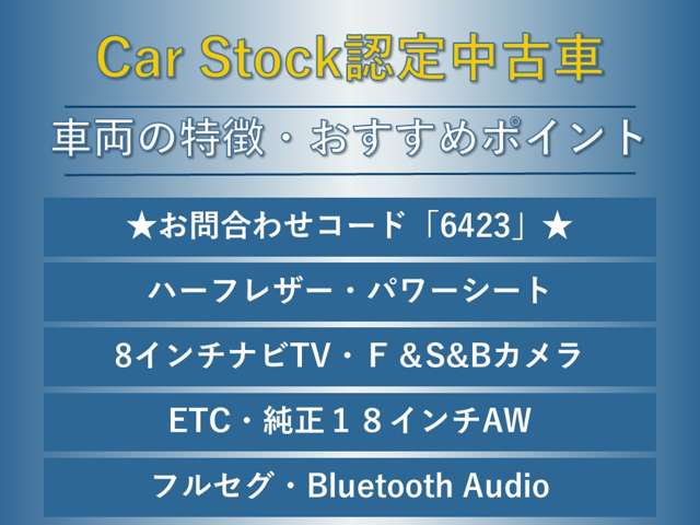 スバル レヴォーグ ２．０ ＧＴ－Ｓ アイサイト ４ＷＤ H29年 (東海) 99