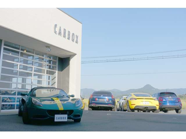 ロータス エリーゼ Ｓ H29年 (東海) 99